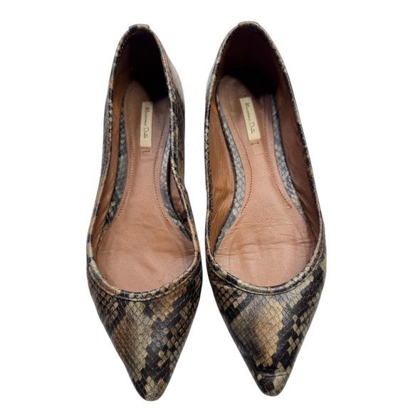 Massimo Dutti Animal Print Brown Ballerinas - Picture 1 of 12